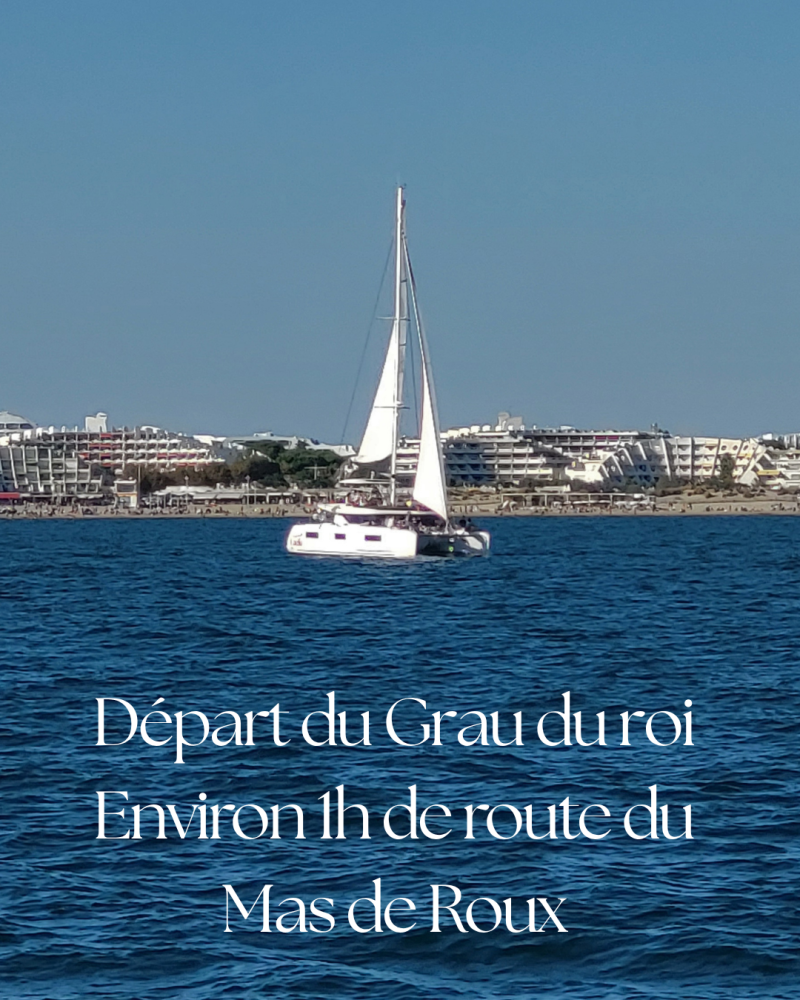 Catamaran naviguant dans la baie d'Aigues-Mortes au départ du Grau-du-Roi